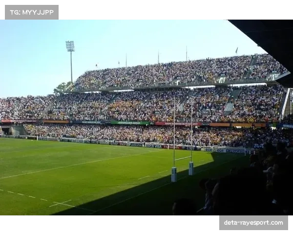 法国足球协会启动2026年草根足球发展计划，将新建百块球场